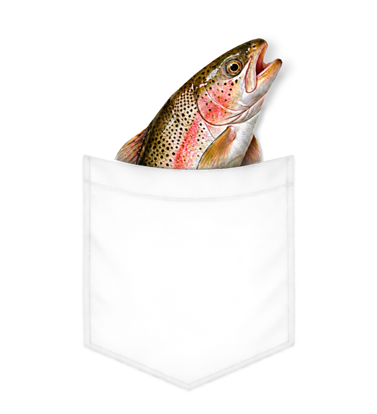 Pocket Trout original artwork